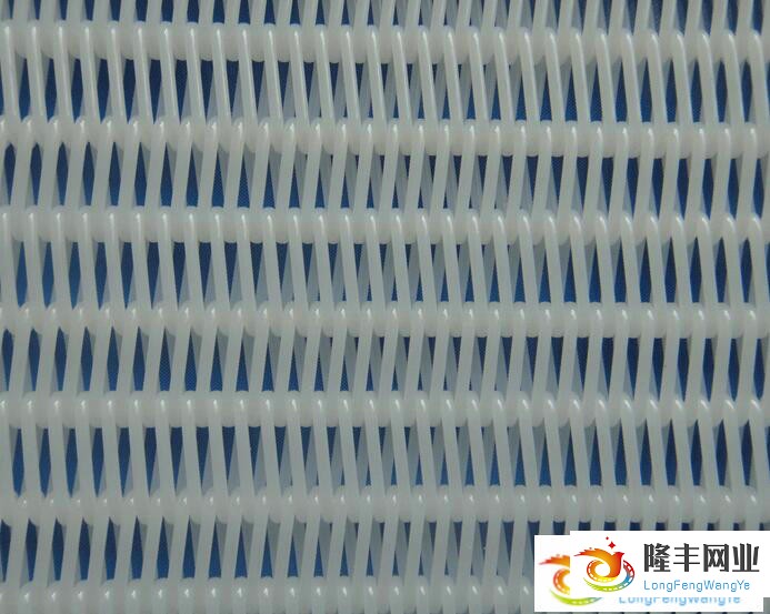 沈丘縣隆豐網(wǎng)業(yè)官網(wǎng) 沈丘縣隆豐網(wǎng)業(yè)官網(wǎng)